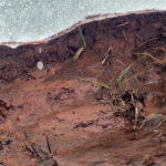 MVI_7922.00_00_21_43.Still001