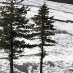 MVI_7922.00_00_41_23.Still003