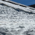 MVI_7922.00_01_01_24.Still009