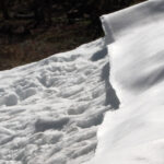 MVI_7922.00_01_24_39.Still012