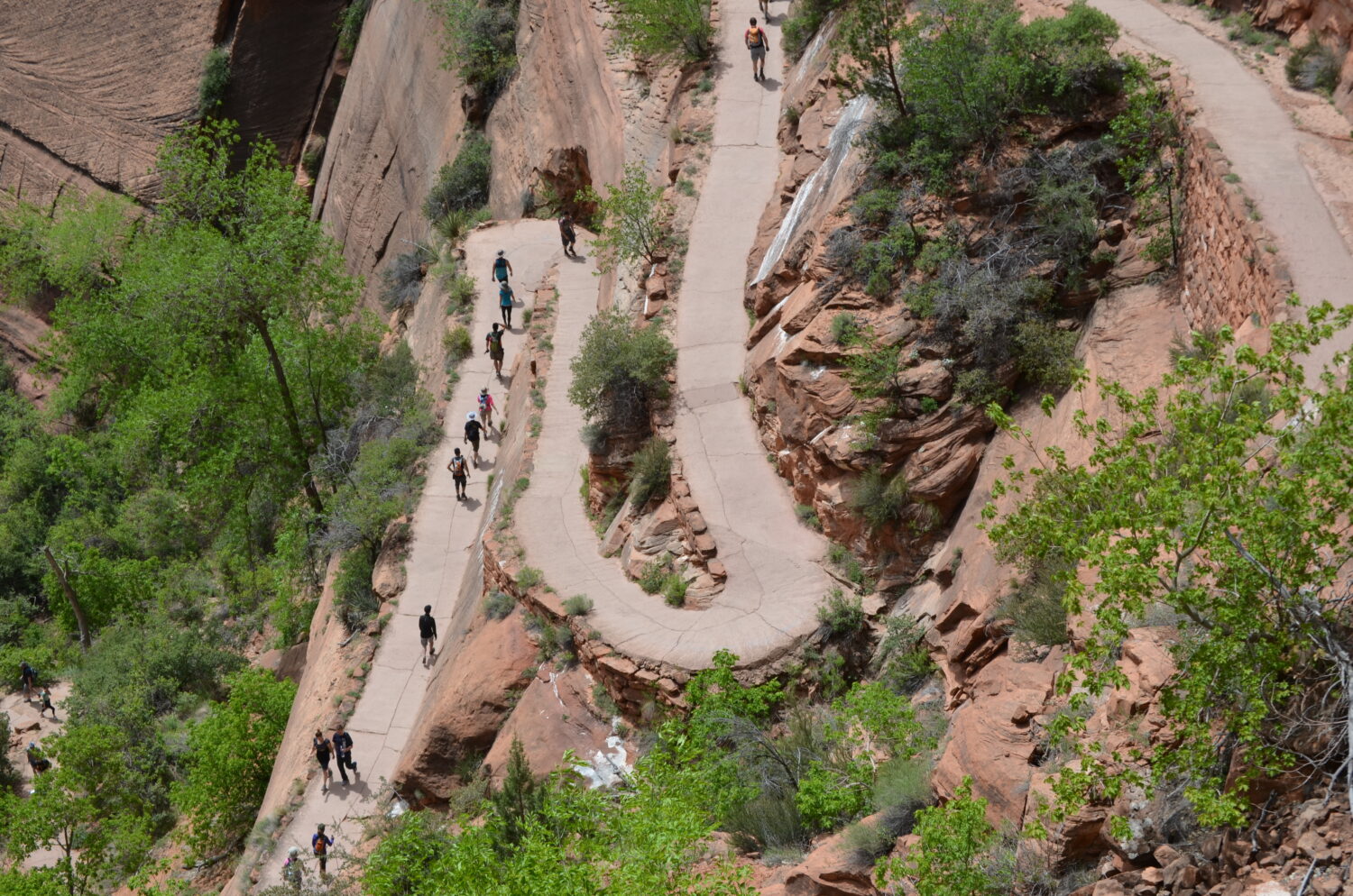 Views along the Angel's Landing Trail, Zion National Park.