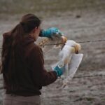 Hailey Larsen saving owl 1 - credit DWR