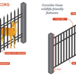 Residential Fencing - credit DWR