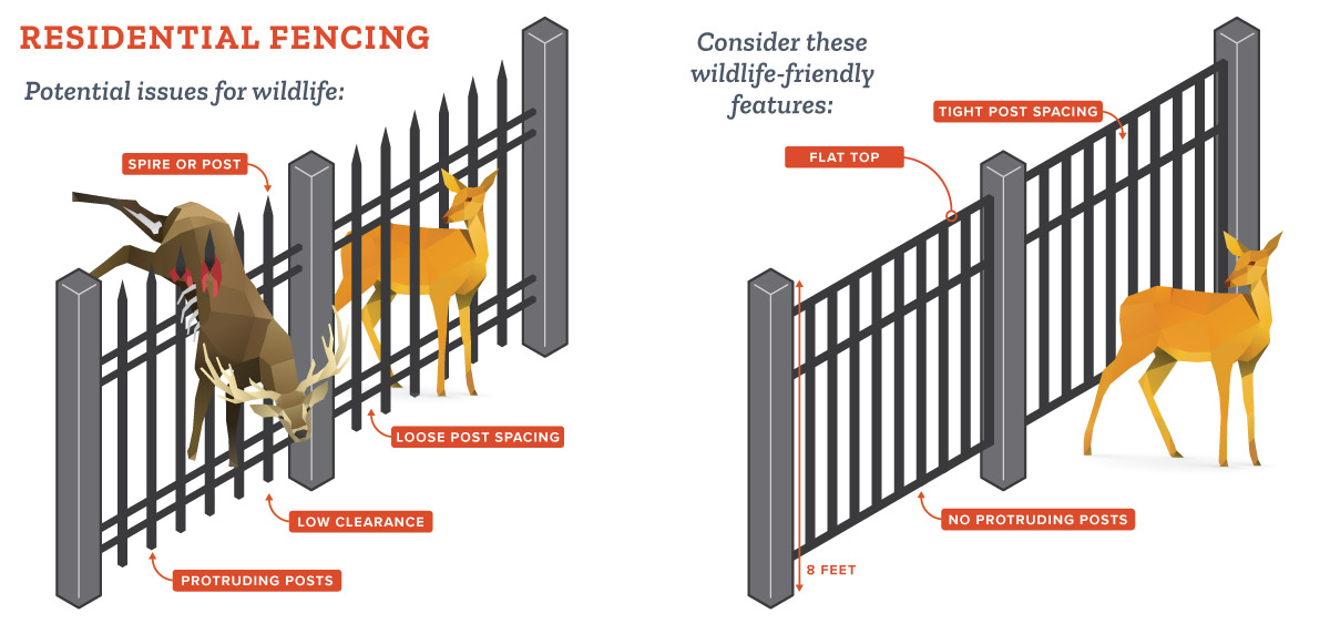 (Graphic courtesy: Utah Division of Wildlife Resources)