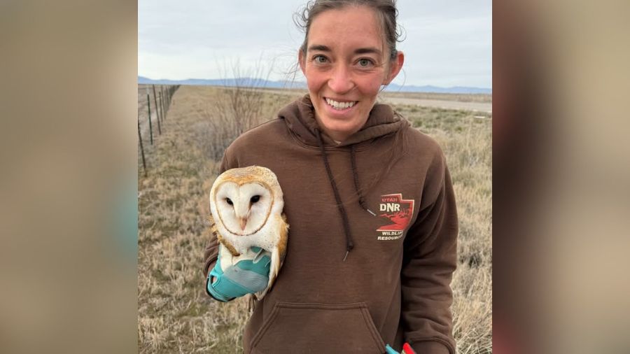 Division of Wildlife Resources employee Hailey Larsen with a barn owl that she rescued from a fence...