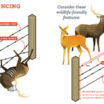 Working land fencing - credit DWR