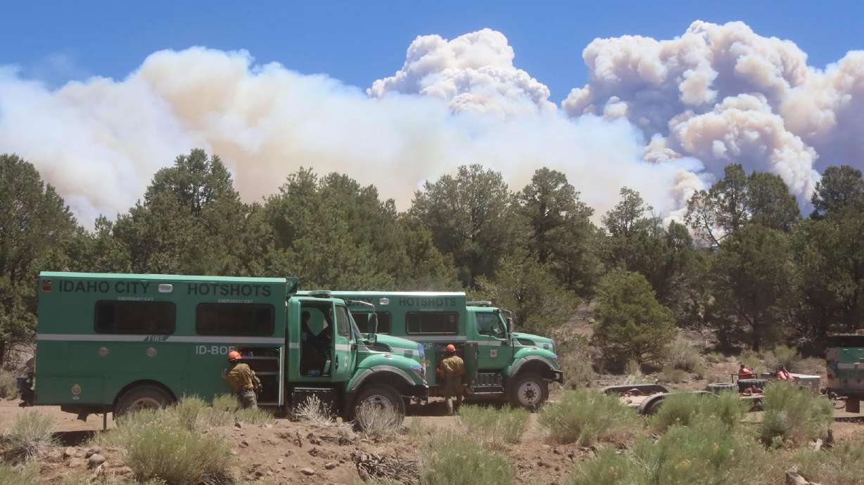 The U.S. Forest Service is temporarily banning campfires on land it manages in central and southwes...