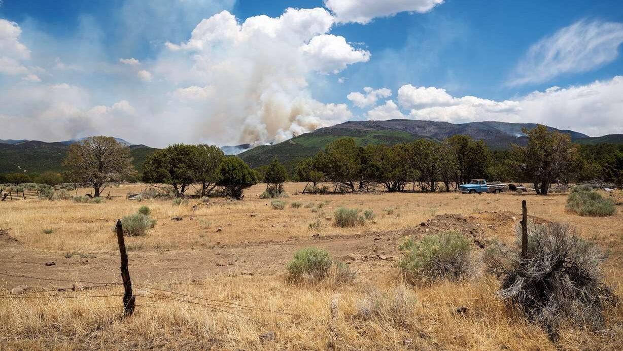 Very dry conditions are part of the reason for the intensity of the Cottonwood Fire that continues to burn east of the town of Beaver on Tuesday. An expert says he wants to see more prescribed burns and more follow through on fire mitigation. (Photo: Scott G Winterton, Deseret News)