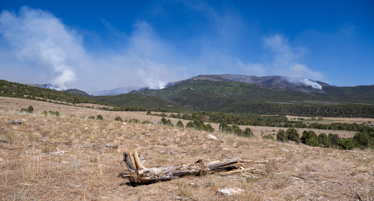 The Cottonwood Fire, burning on the mountains east of Beaver, continues on Monday, June 29, 2026. (Scott G Winterton, Deseret News)