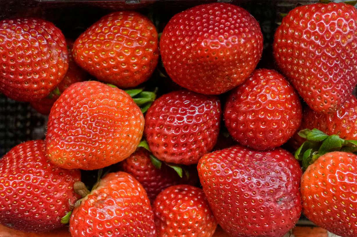 Strawberries are pictured at a fruit stand in Cleveland, Ohio, July 16, 2025. The CDC said Wednesday that no source has been confirmed for an ongoing outbreak of cyclosporiasis, though produce that has not been adequately cleaned and prepared is considered the likely source. (Photo: Sue Ogrocki, Associated Press)