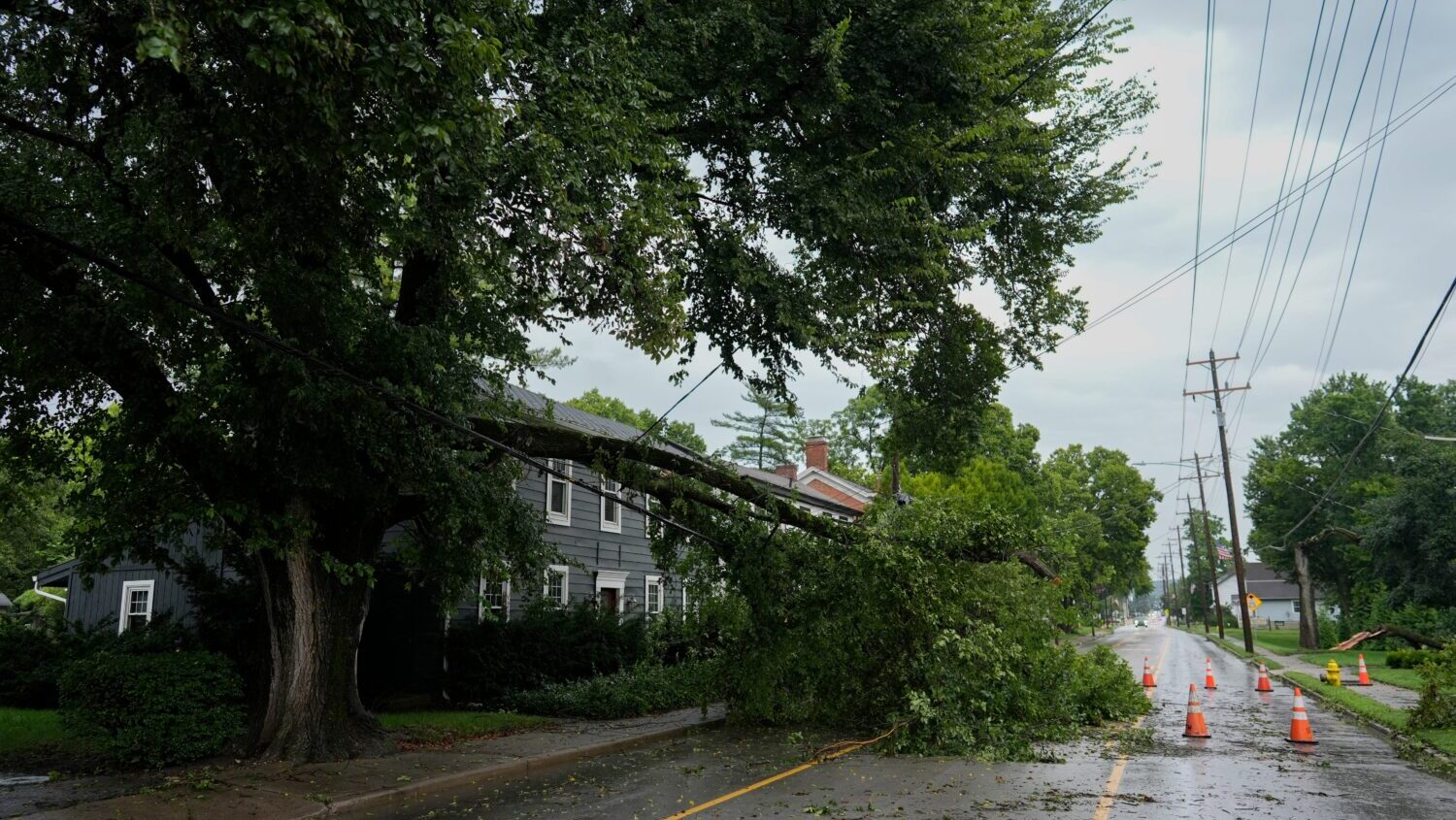 Trees downed by severe storms from Tuesday, block access to a home and close parts of Main Street o...