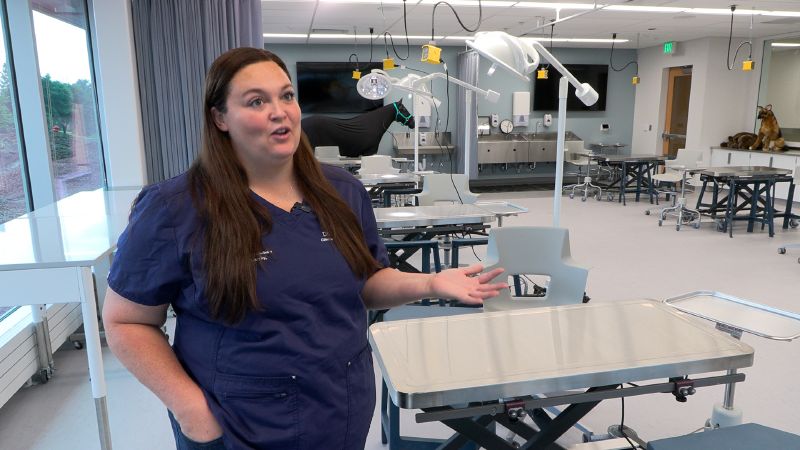 Alexis Sweat is an assistant professor of veterinary science, and a clinical skills course coordinator at Utah State University. (Mike Anderson, KSL)