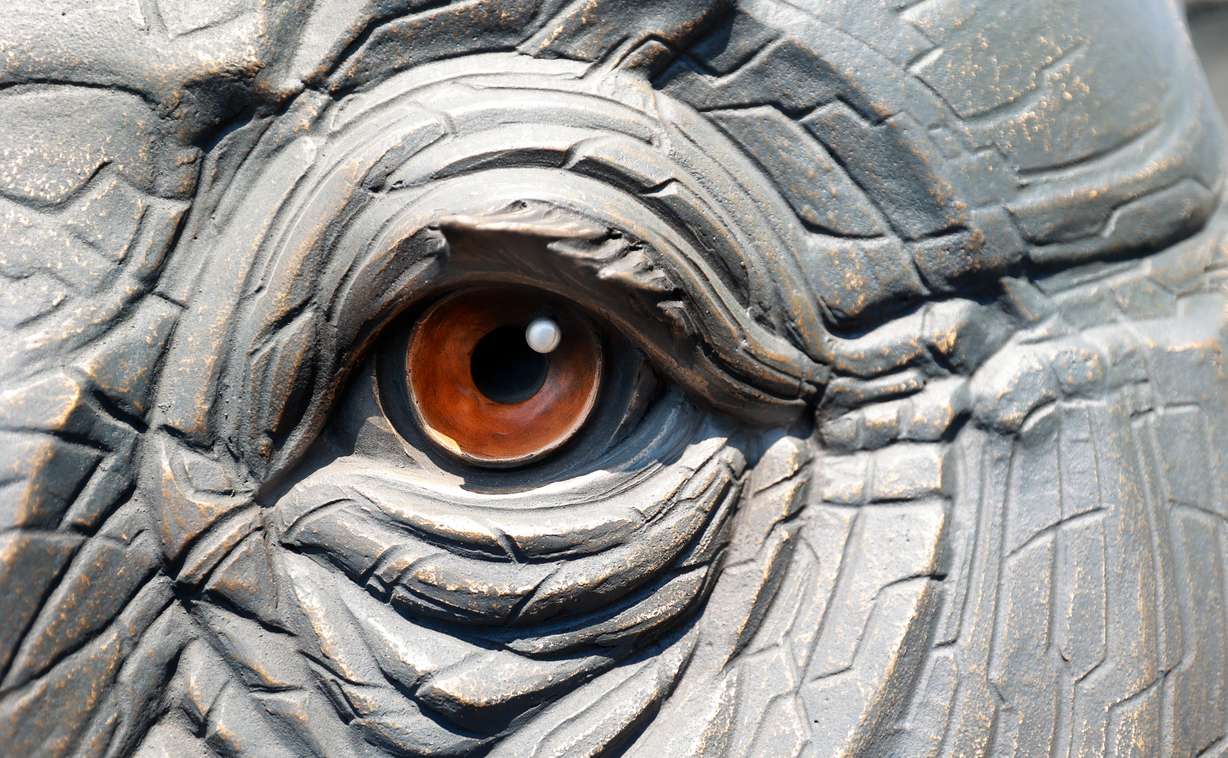 An eye of Yumi, a roughly 18,000-pound bronze elephant by co-creators Matthew Gray Palmer and Ann Holbrook, is pictured at Metal Art Foundry in Lehi on Thursday. (Photo: Kristin Murphy, Deseret News)
