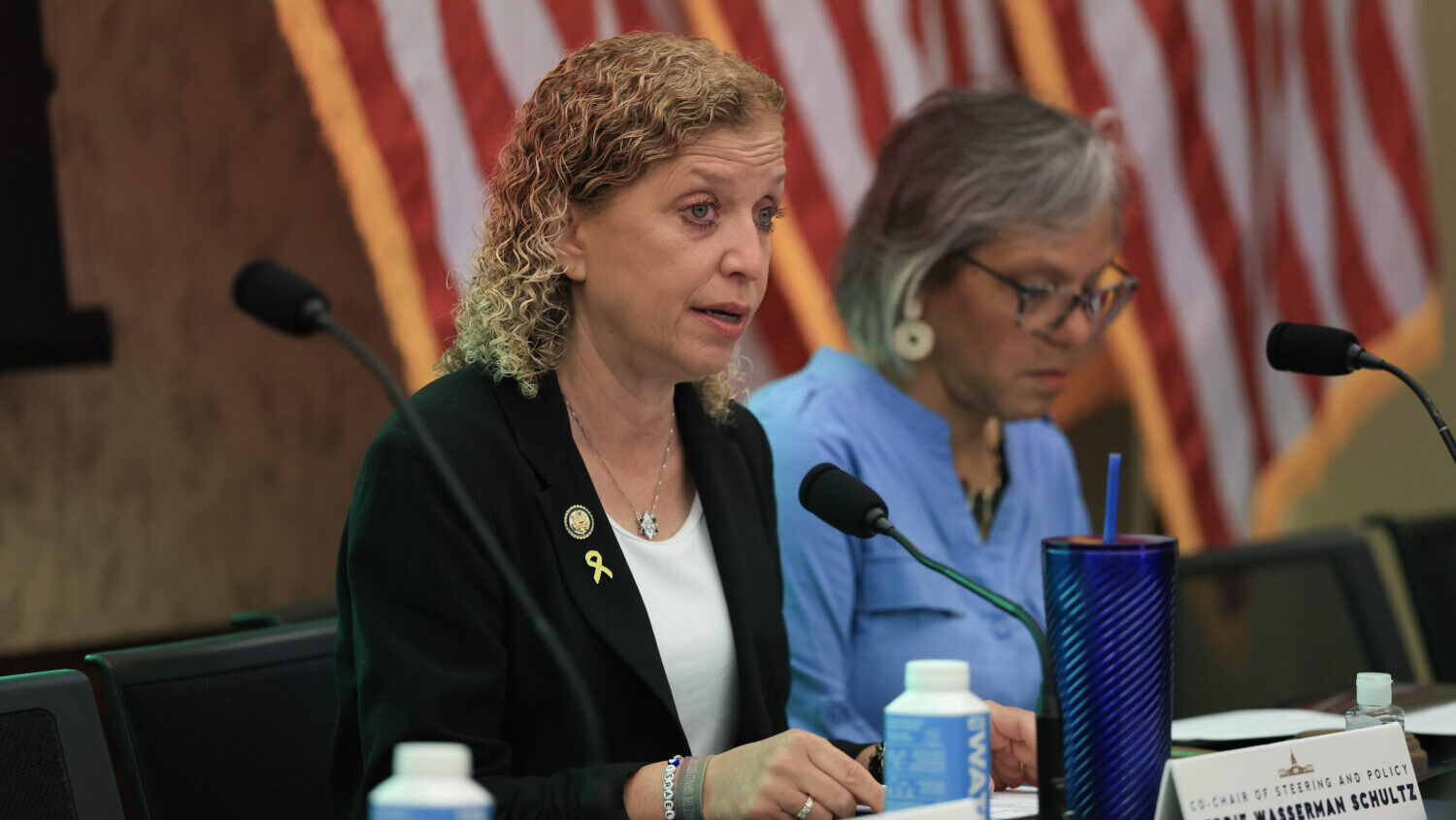 In Florida, Rep. Debbie Wasserman Schultz is running for reelection to Congress in a new district w...