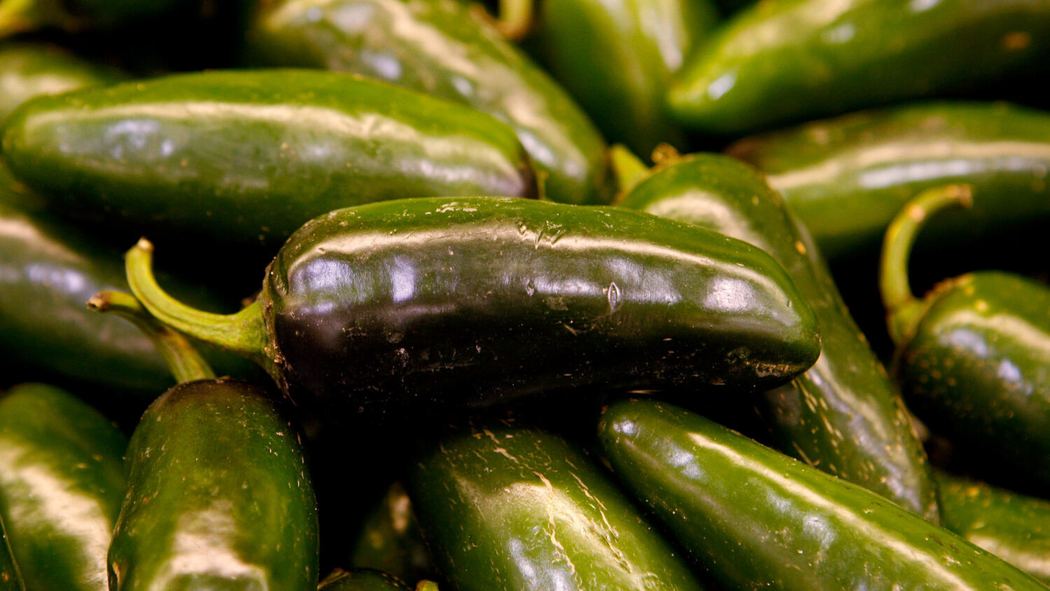 FILE: Jalapeno peppers sold at a produce store in Chicago, Illinois.   (Scott Olson, Getty Images)...