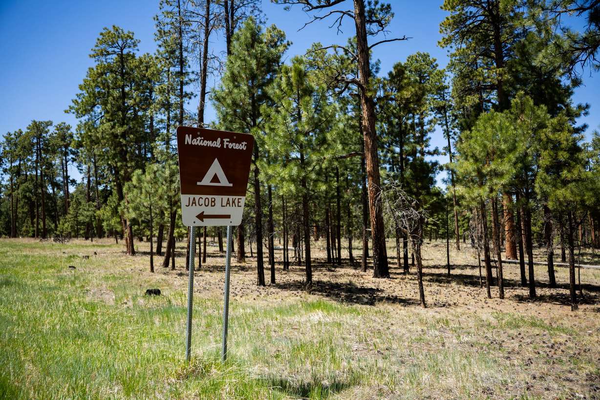 Jacob Lake in Kaibab National Forest in Coconino County, Ariz., on May 14. Congress is trying to push the Fix Our Forests Act for wildfire prevention over the finish line. (Photo: Tess Crowley, Deseret News)