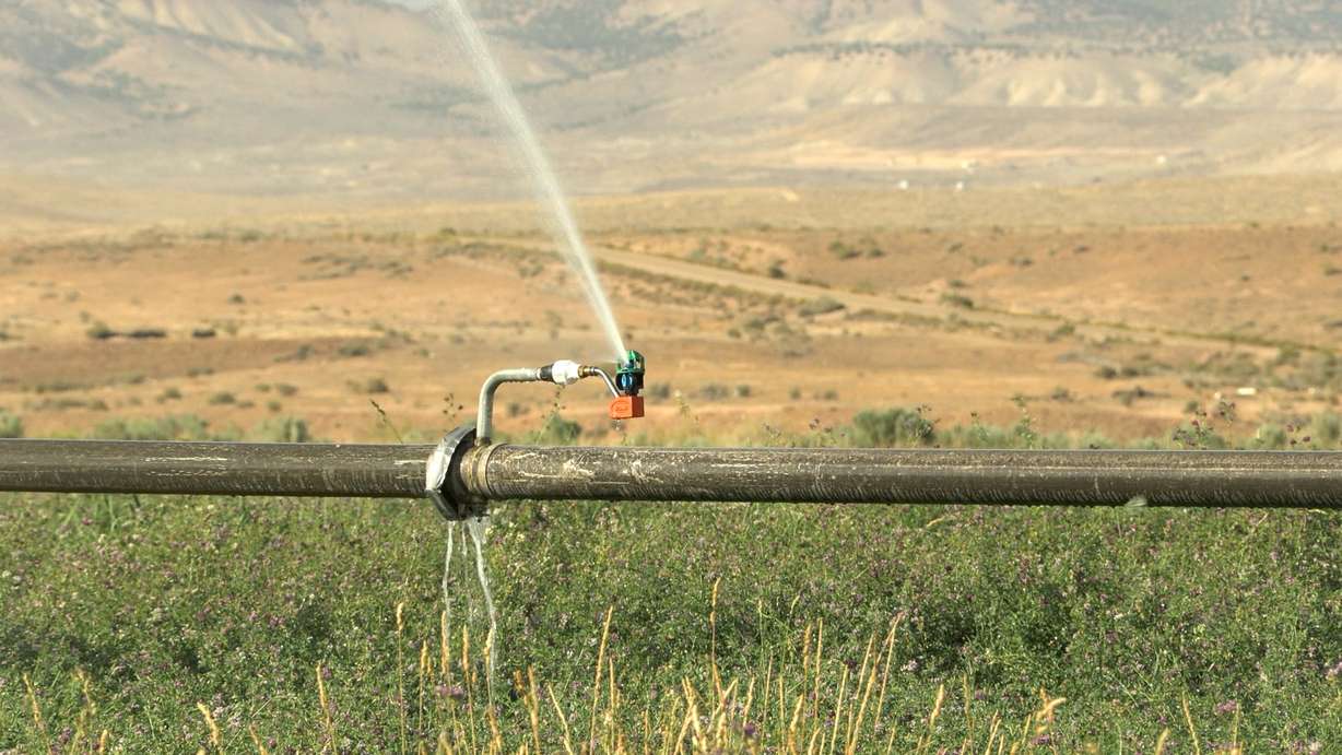 A sprinkler line at the Bar Lazy TL Ranch near Vernal. (Photo: Alex Cabrero, KSL)