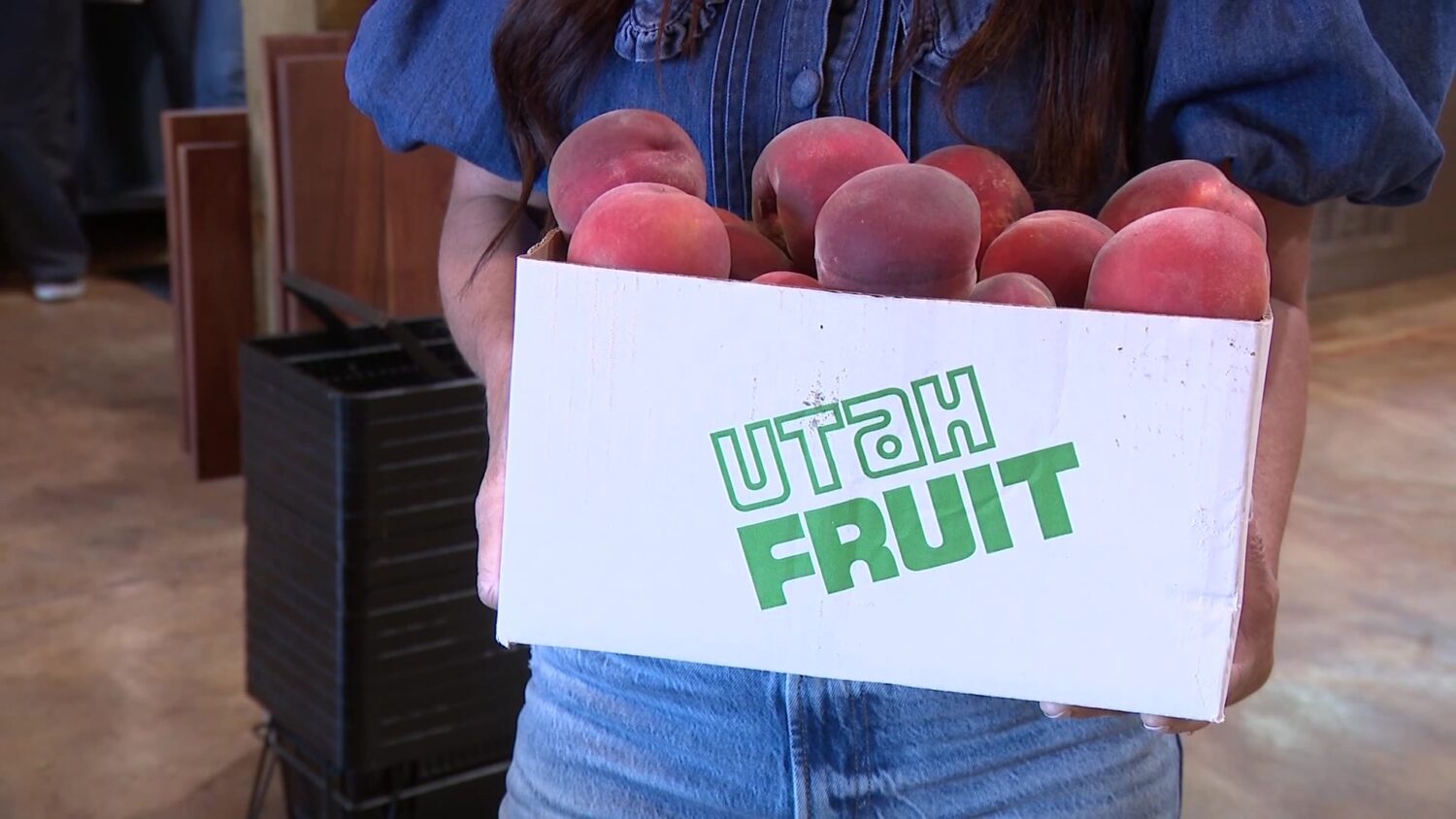 Utah farmers, struggling with the double weather whammy of a dry winter and an April freeze, are asking residents for help. (Wesley Barton, KSL)